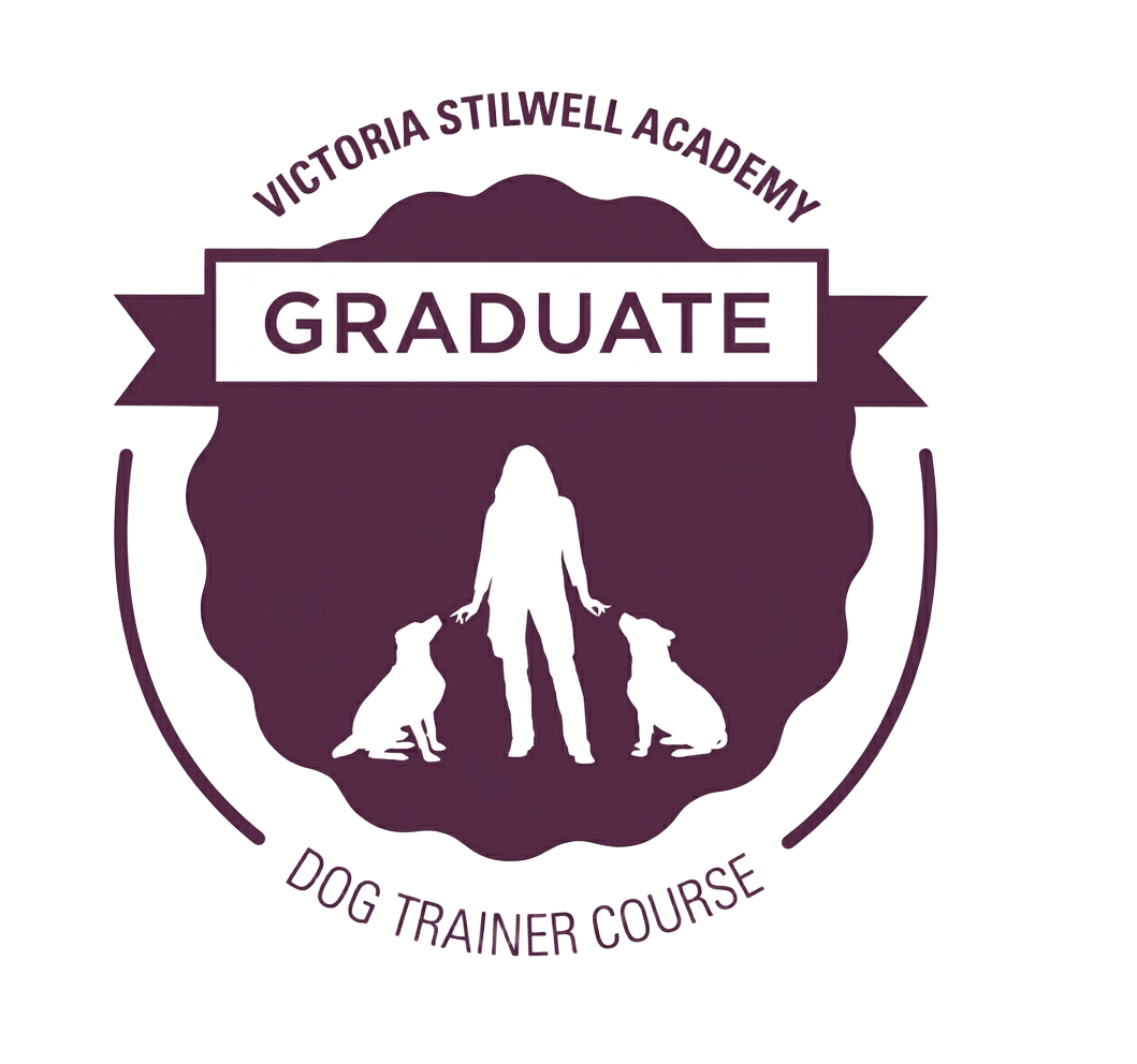 Victoria Stilwell Academy Graduate — Dog Trainer Course
